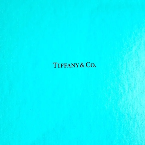 Tiffany & Co Big Tiffany Gift Box in Tiffany Blue Signature color 💚💙🎁 - Picture 3 of 16